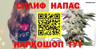 крисы Ливны