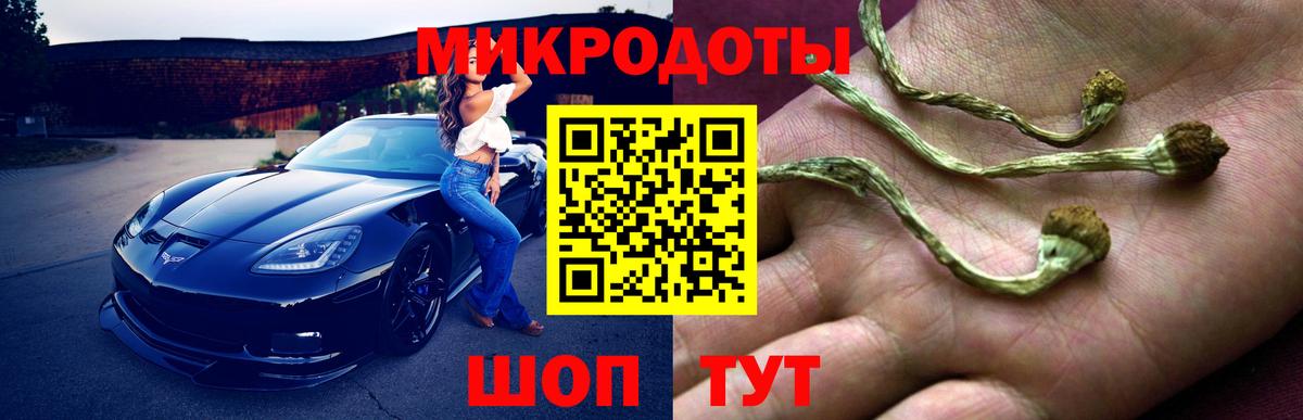 Псилоцибиновые грибы MAGIC MUSHROOMS  Вход с VPN  Тайшет  Галлюциногенные грибы ЛСД 
